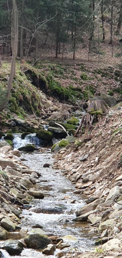 Apartizer Swieradow Zdroj بوبيدنا المظهر الخارجي الصورة